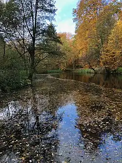 Étang du Clos des Chênes