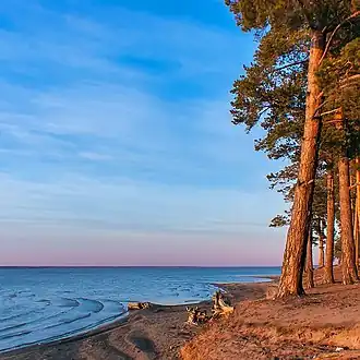 Lake Gorkoye-Peresheyechnoye