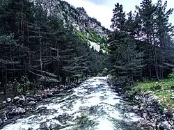 A river in the reserve