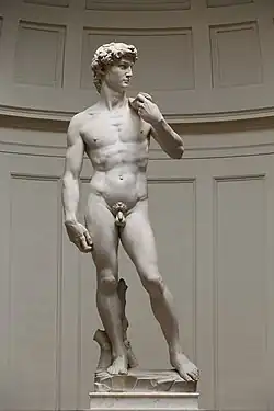 Michelangelo, David, c. 1504, Galleria dell'Accademia, Florence