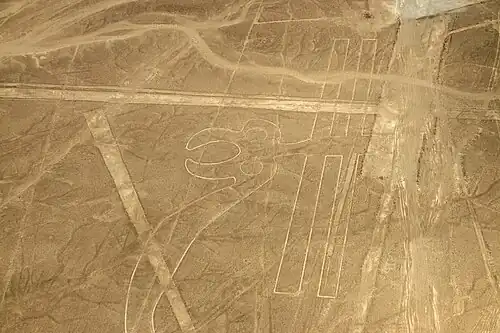 The Parrot (el loro)[73]