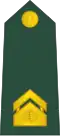 Višji vodnik (Slovenian Ground Force)[30]