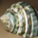 160 by 160 upscaled thumbnail of 'Green Sea Shell' (Smooth Edges)
