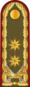 General-leytenant[7] (Azerbaijani Land Forces)