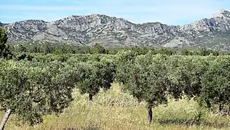 Alpilles