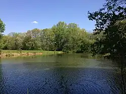 Man-made pond in Clayton Park