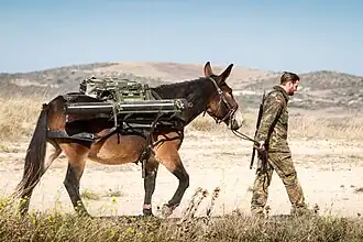 Army mule (2015)