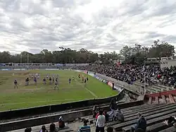 Uruguay v Argentina rugby, 2015