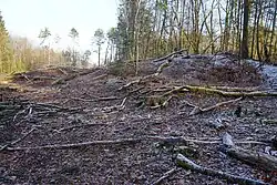 General view of the slag heap from the pit located southwest of Crainvillers.