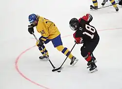 Ice hockey