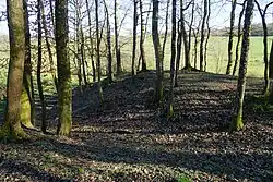 The dumping areas of the slag heap.