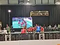 India vs Wales