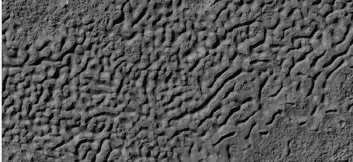 Closed-cell brain terrain, as seen by HiRISE under the HiWish program. This type of surface is common on lobate debris aprons, concentric crater fill, and lineated valley fill.