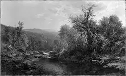 A Stream in the Adirondacks (1859), oil on canvas, 21.125 x 35.25 inch.; collection of Walters Art Museum