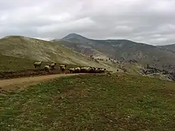 Akilbaba Tepesi in the Giresun Mountains Chain in the Black Sea Region of Turkey