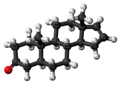 Ball-and-stick model of the androstenone molecule