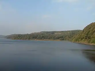 A reservoir surrounded by trees