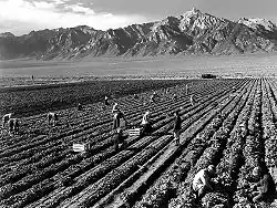 A black-and-white photograph shows farm workers with Mt. Williamson in background.