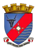 Coat of arms of Antsirabe I