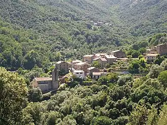 Arbori Village