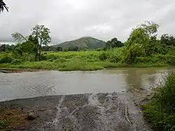 Twin (Skull and Salakot) mountains (visible from Aritao Townhall)