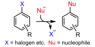 Aromatic nucleophilic substitution