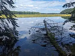 View of the Au Sable Siver Shoreline near Iargo Springs in Iosco County, MI.