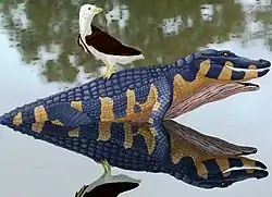 Reconstruction of Avisaurus and Brachychampsa