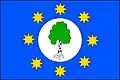 Flag of Březová
