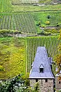 Agriculture on the hills above Bacharach