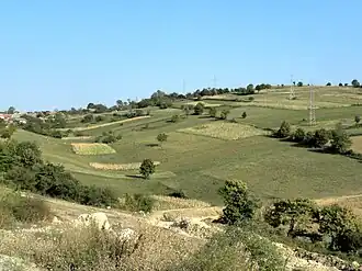 Fields between Sfânta Elena and Gârnic