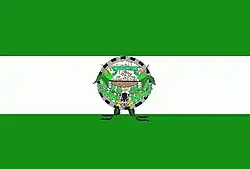 Flag of Alto Rio Novo