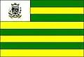 Flag of Damolândia