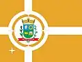 Flag of Pirapozinho