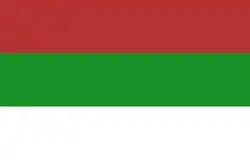 Guacurarí flag with a green stripe.