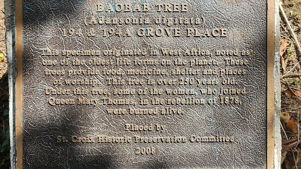 Baobab Historic Marker at Grove Place, U.S. Virgin Islands