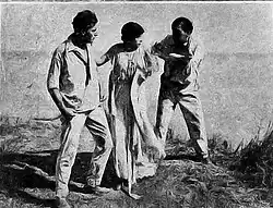 Westie, Martha and Arnold