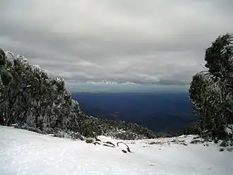 The view across Gippsland from Mount Baw Baw, Victoria
