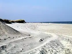 A windswept white sand beach with grassy dunes on the side, and the ocean in the distance.