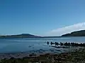 Beauly Firth looking towards the Kessock Bridge, seen in the distance
