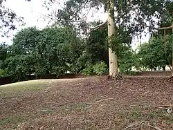 Photograph from the top of the trench at the Beechworth Asylum, showing how the ha-ha wall appears much lower here than it really is