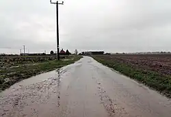 A completely flat landscape. A wet, muddy road stretches in the distance, dead straight, flanked by empty, wet fields. A wooden electricity pole is a sudden vertical element. The wires follow the road down to some farm buildings in the middle distance