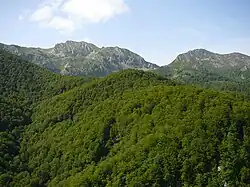 Redes Natural Park, Asturias.