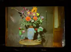 A 1906 interferential photograph by Auguste Ponsot&nbsp;[fr], Lippmann's student and colleague