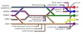 Diagram of the brachial plexus using colour to illustrate the contributions of each nerve root to the branches.