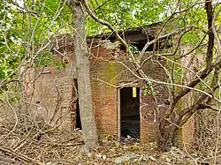 Exterior of Brayton Point battery house; the entire structure is hidden by overgrowth