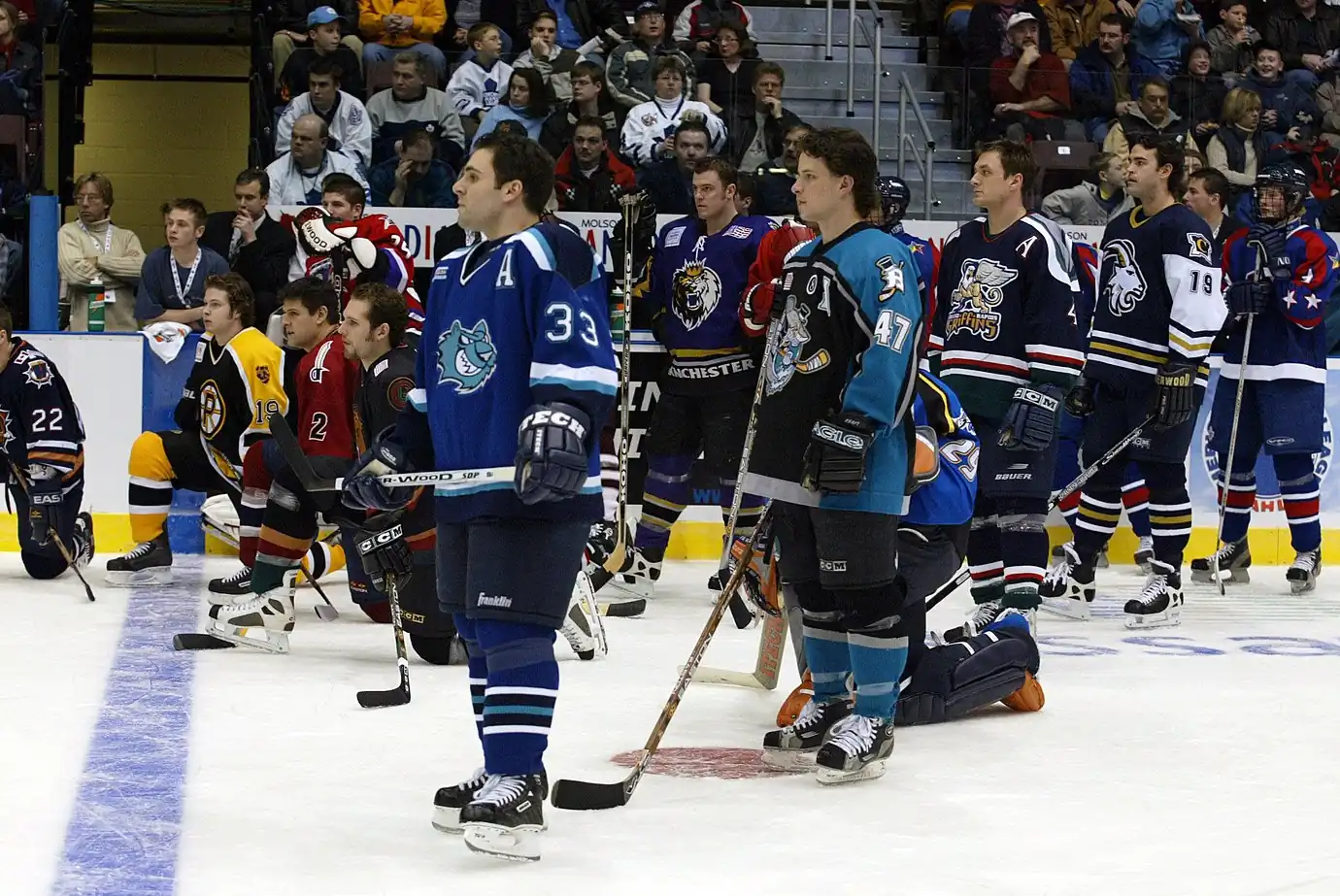 John Gruden, Toronto Marlies