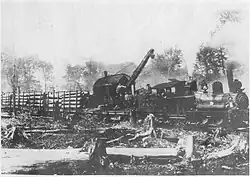 Black and white image of a steam locomotive pulling a crane and several cars of logs. In the foreground are large tree stumps.