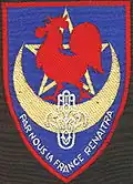 Insignia of the Regional Commissariat NORTH AFRICA.