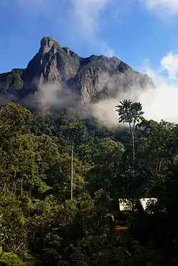 A camp is nestled in tropic rain forest, with a steep mountain peak directly behind it.